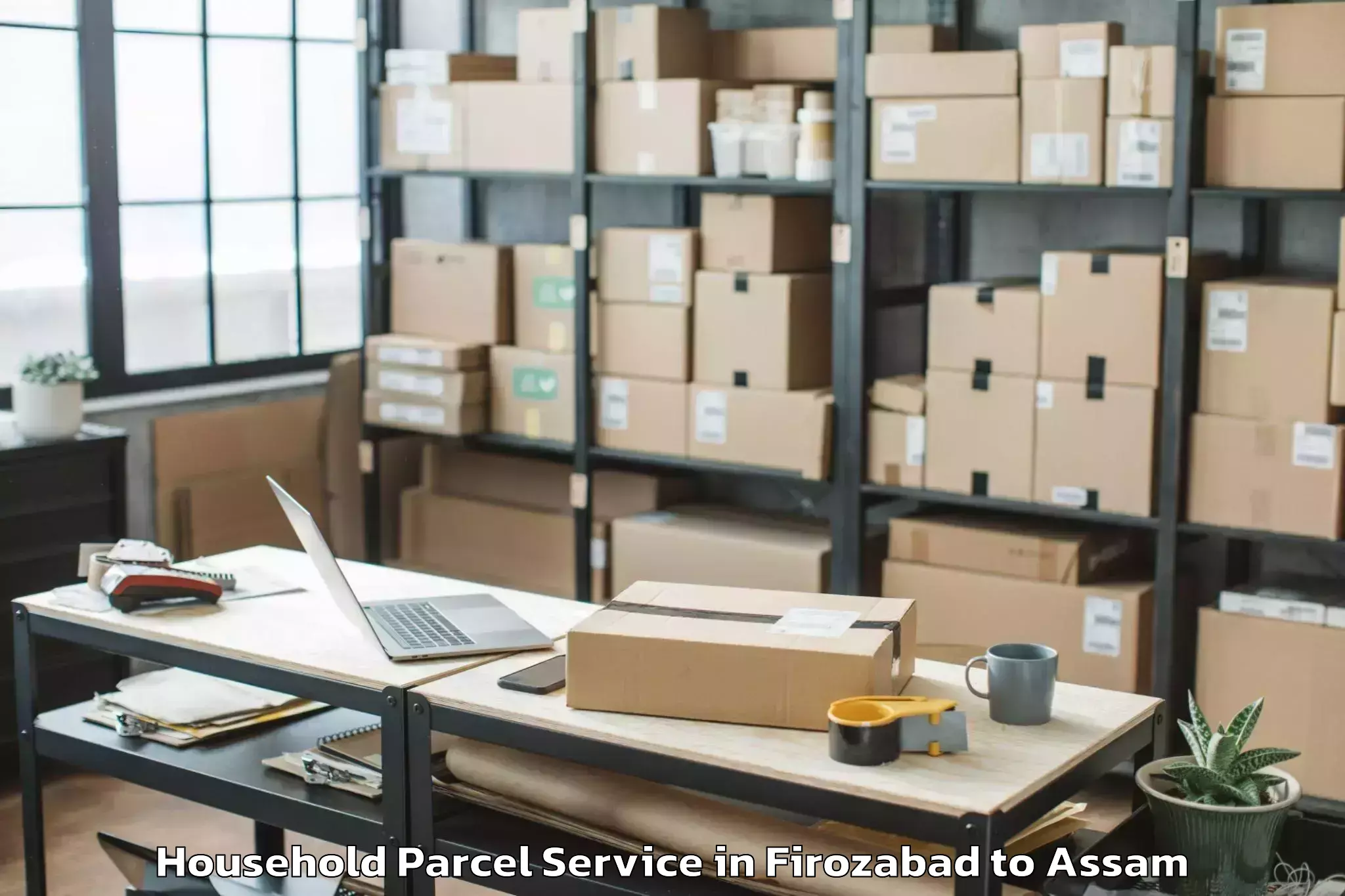 Book Firozabad to Patharighat Household Parcel